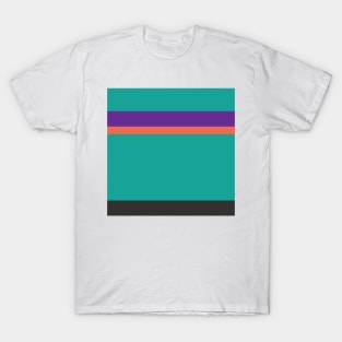 An exceptional mix of Orange Pink, Faded Orange, Purple, Blue/Green and Dark Grey stripes. T-Shirt